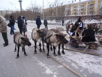 Добавляйте красивые фотки иго го