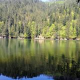 5487 Ирина